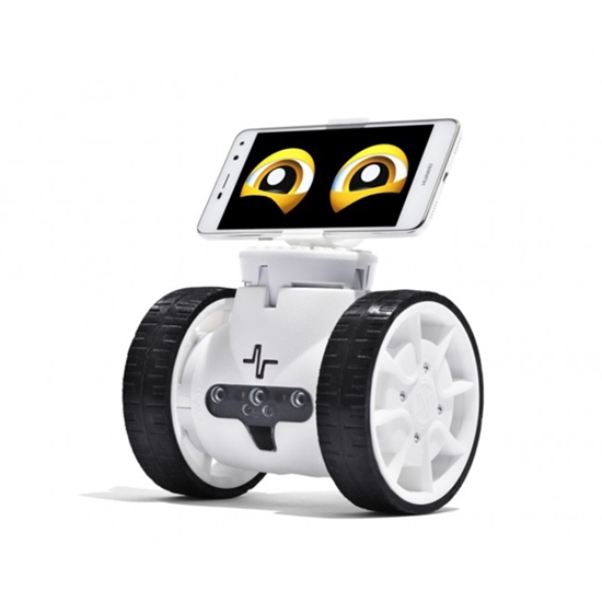 Fable Go 2.5 - комплект робот с колела
